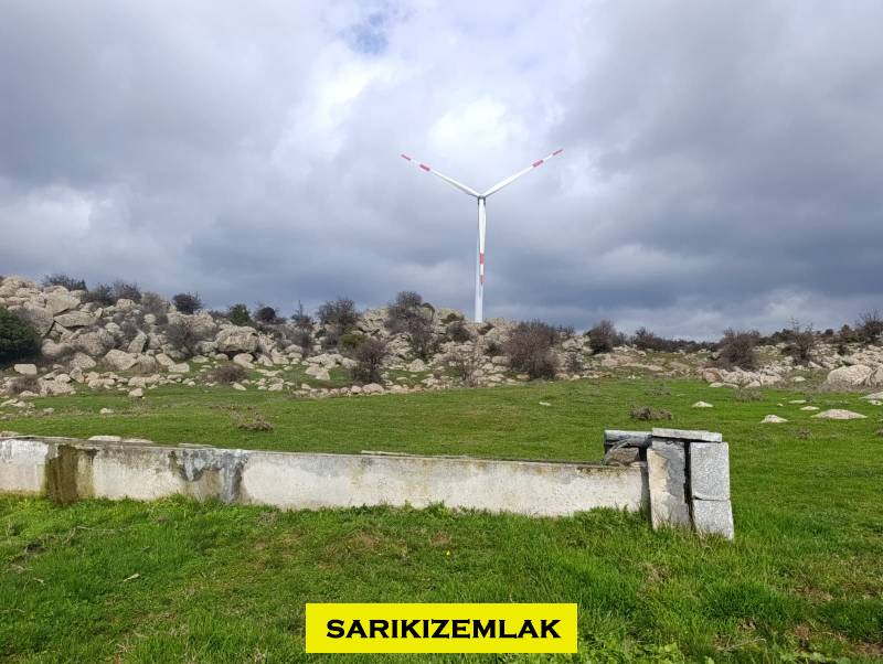 Büyü12405 Büyü12405